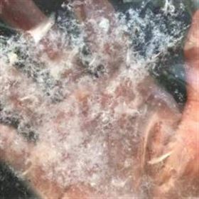 国内芳纶纤维专用沉析机固液混合机连续生产沉析纤维设备希德XLC