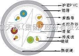 FTPFTP 六类4对多股绞合线屏蔽数据电缆