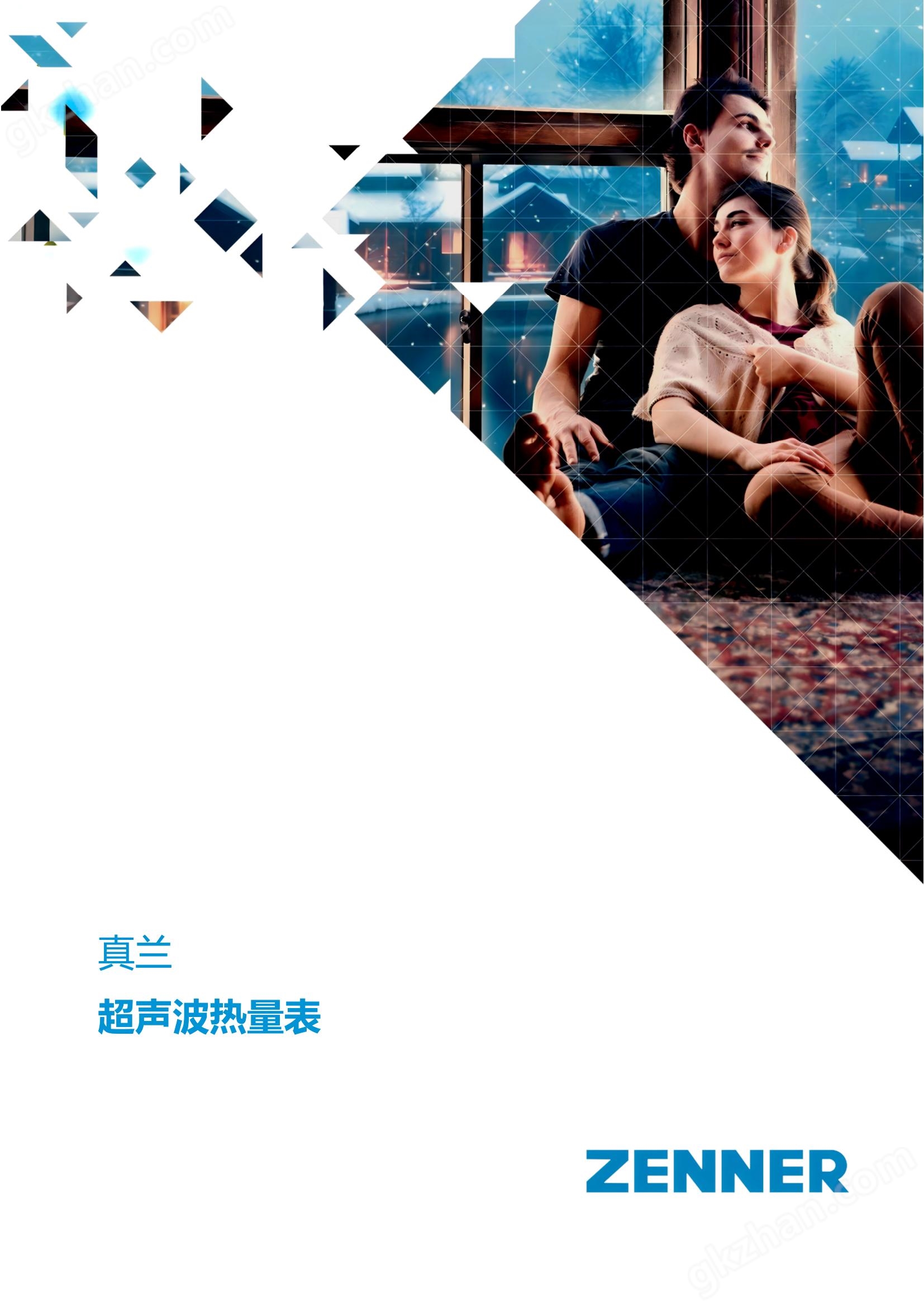 德國真蘭進(jìn)口戶用超聲波熱量表