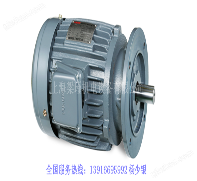 中國臺灣FUKUTA富田AEVF鑄鐵電機