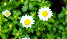 ����ʡ��װ��ҵЭ����ڷ�������֯ѧ��ѵ�����������׼�Ĺ��� 