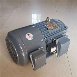 中國臺灣富田電機三相感應(yīng)伺服馬達