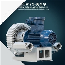 CT4高防爆等級防爆鼓風(fēng)機(jī)
