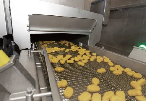 诺德全链驱动方案：覆盖家禽养殖加工，满足卫生与高效双重要求