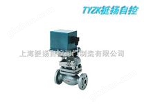 先導(dǎo)直動(dòng)高溫電磁閥