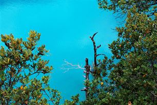 实朴检测参编四项认证认可行业标准发布实施