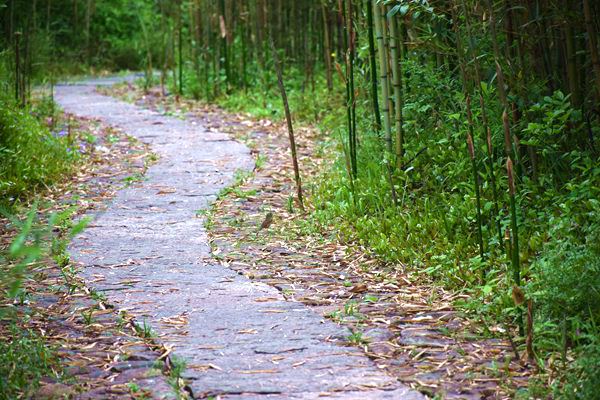 科技賦能監測 智慧守護寧靜——湖北省聲環境自動監測網絡全面建成