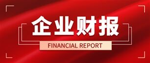 上半年仪器仪表企业业绩解读：结构性分化凸显，高端赛道领跑高质量发展