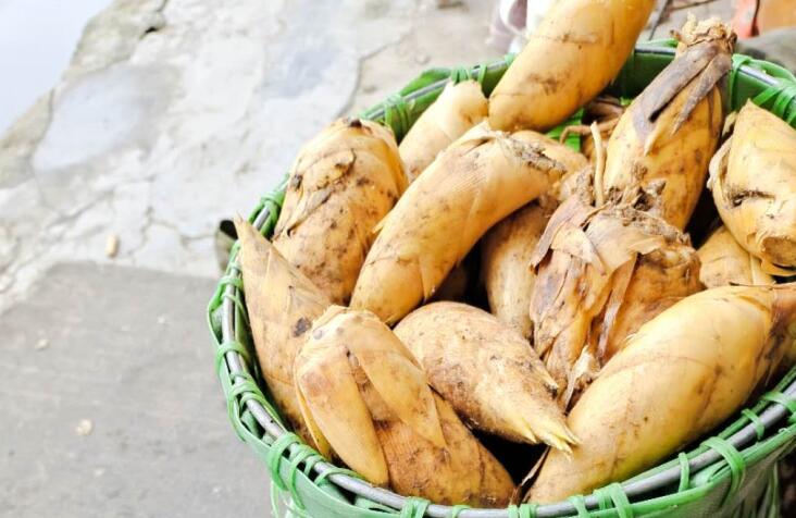 《桃江竹筍 筍干》《桃江竹筍 調制筍》《桃江竹筍 風味筍》團體標準聯(lián)合發(fā)布