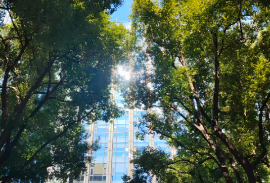 涉及AI、醫(yī)療、深海機(jī)器人等領(lǐng)域 近期融資盤點(diǎn)