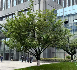 涉及显示领域、机器人等 近期融资盘点