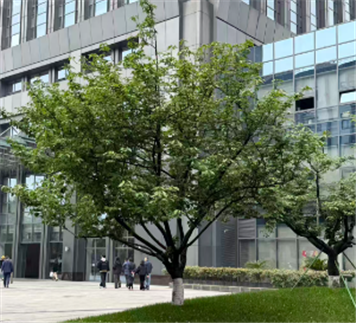 涉及显示领域、机器人等 近期融资盘点