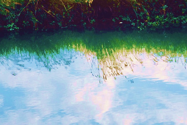 最新進(jìn)展！《粉體食品包裝用注塑蓋》團(tuán)體標(biāo)準(zhǔn)進(jìn)入報(bào)批階段